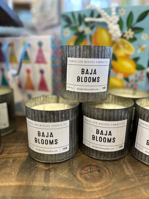 NEW spring candles - various scents