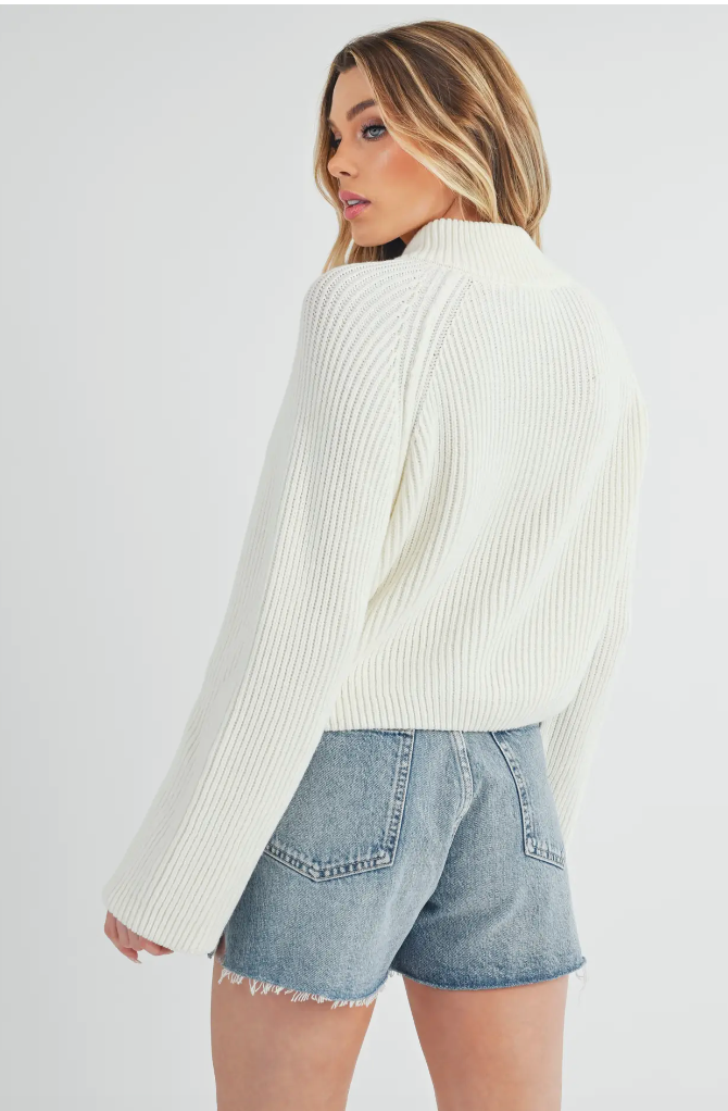 Trendy half-zip sweater (Various Colors)